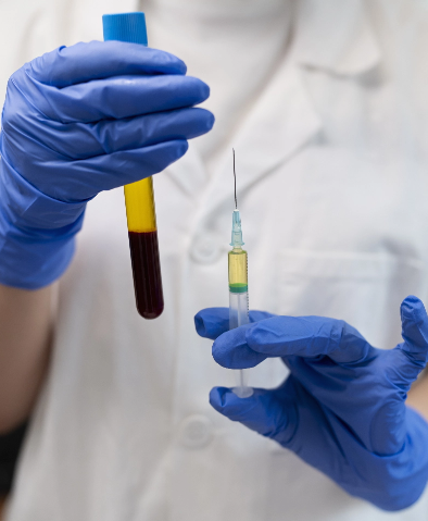 Ecografía músculo-esquelética para el fisioterapeuta. Patología muscular